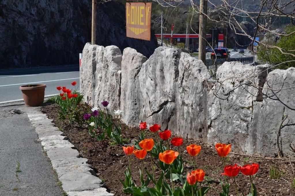 Una Apartment Cetinje Esterno foto